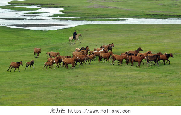 草原景观内蒙古旅游